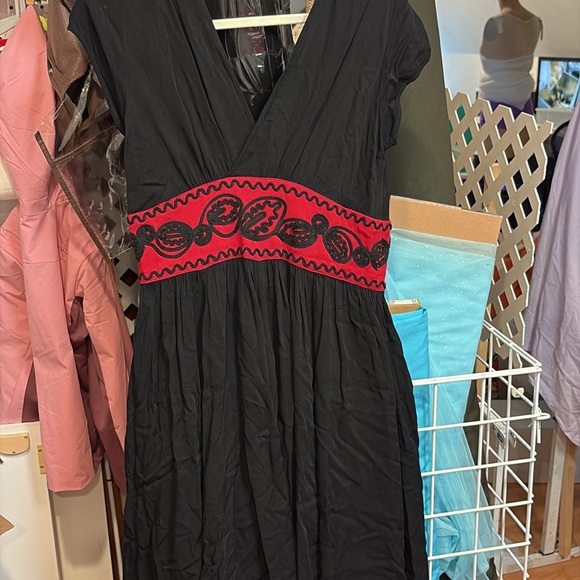 Trashy Diva Dresses & Skirts - Trashy Diva Soutache Sandy Retro Dress